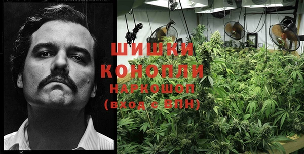 гидропоника Абаза