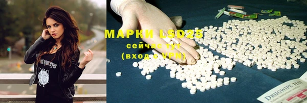 гидропоника Абаза
