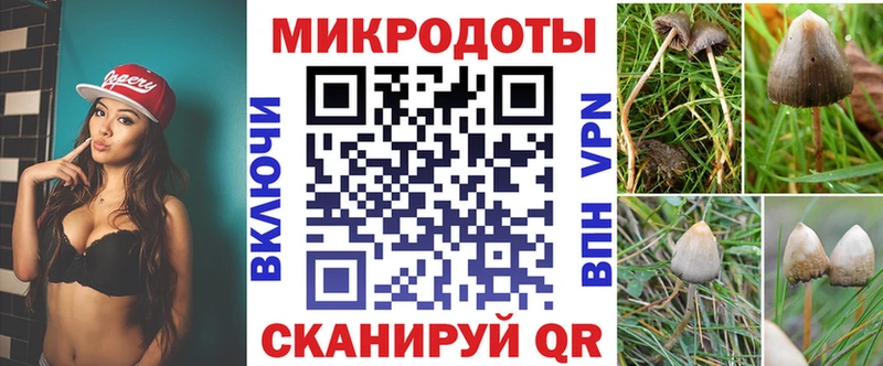 Галлюциногенные грибы GOLDEN TEACHER Новотитаровская